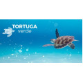 Tortuga verde