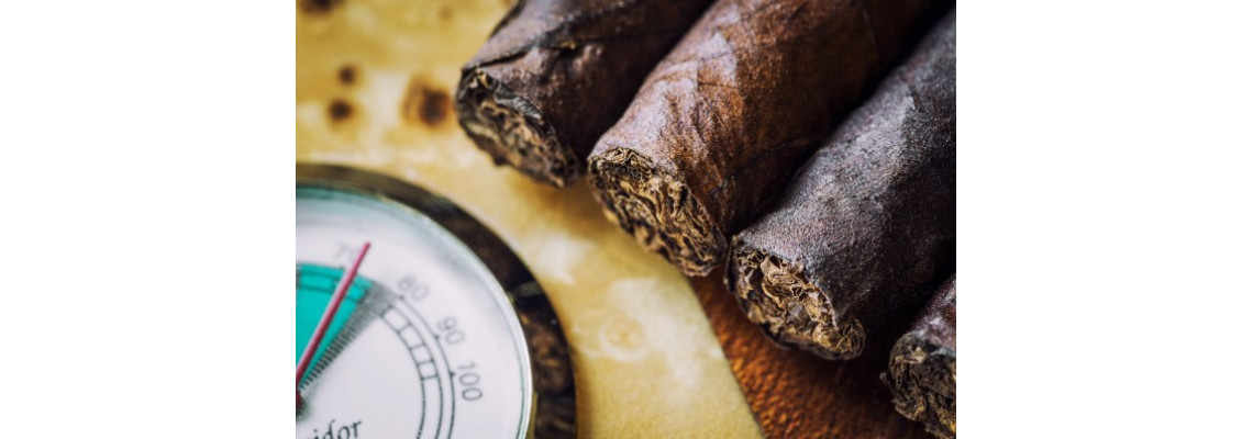 Miért is fontos a humidor páratartalma?