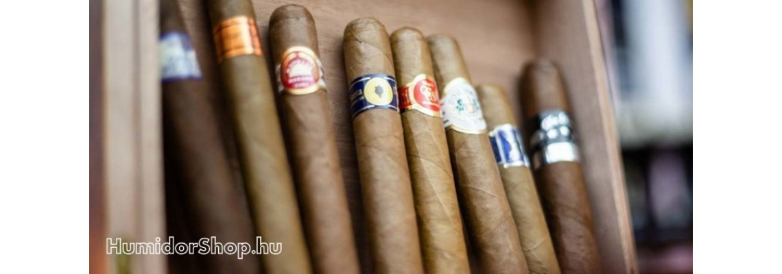 Milyen szivart vegyek kezdő szivarosként?