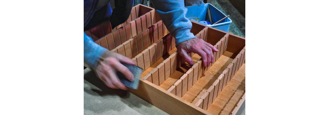 Minden, amit a cédrusfáról tudni akart!