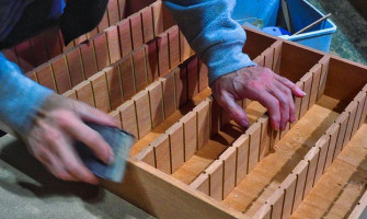 Minden, amit a cédrusfáról tudni akart!