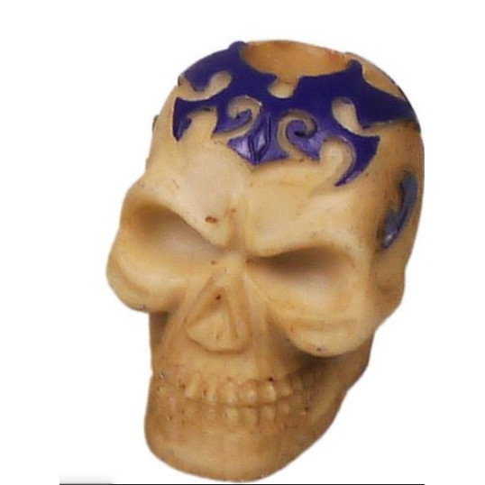 Koponya alakú Padonio csikkölő-4