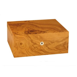 Adorini Salento olajfa Medium Deluxe humidor – 75 szálas, spanyol cédrus belsővel