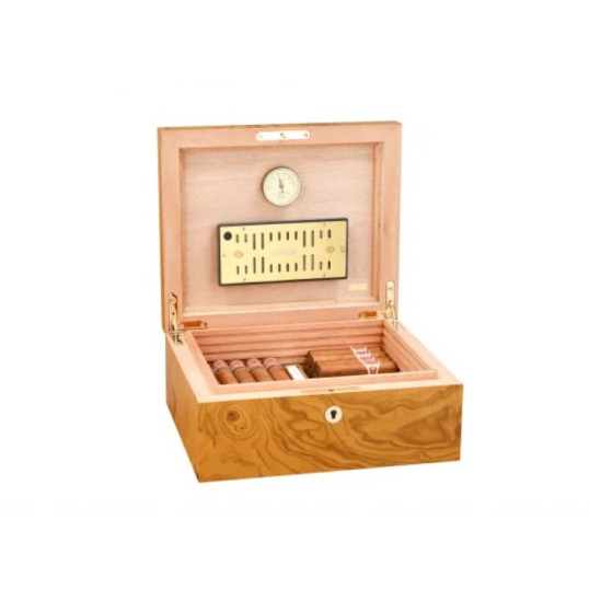 Adorini Salento olajfa Medium Deluxe humidor – 75 szálas, spanyol cédrus belsővel
