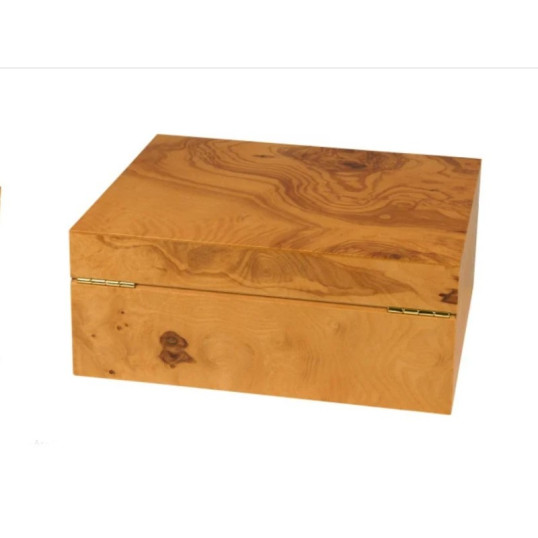 Adorini Salento olajfa Medium Deluxe humidor – 75 szálas, spanyol cédrus belsővel