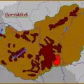 Csongrádi borvidék