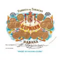H.Upmann