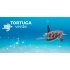 Tortuga verde