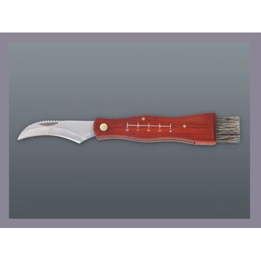 Nagyobb méretű gombászkés kefével és fa nyéllel – vörösesbarna markolat (20,5 cm)