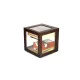 Adorini Cube Deluxe humidor diófa színben – körbe üveges szivar szekrény 100 szál szivarhoz - Humidor 80-150 szál szivarnak