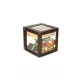 Adorini Cube Deluxe humidor diófa színben – körbe üveges szivar szekrény 100 szál szivarhoz - Humidor 80-150 szál szivarnak