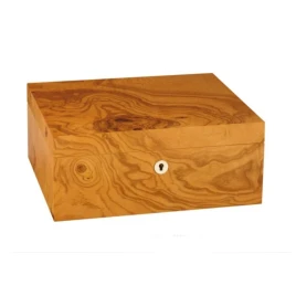 Adorini Salento olajfa Medium Deluxe humidor – 75 szálas, spanyol cédrus belsővel